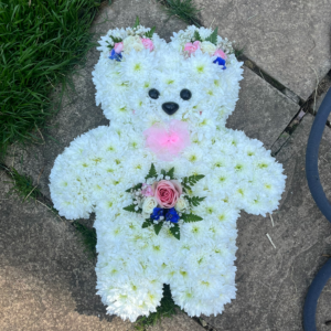Large Teddy Bear